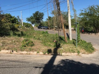 Lot 25 Whitehall, Westmoreland, Jamaica - Residential lot for Sale